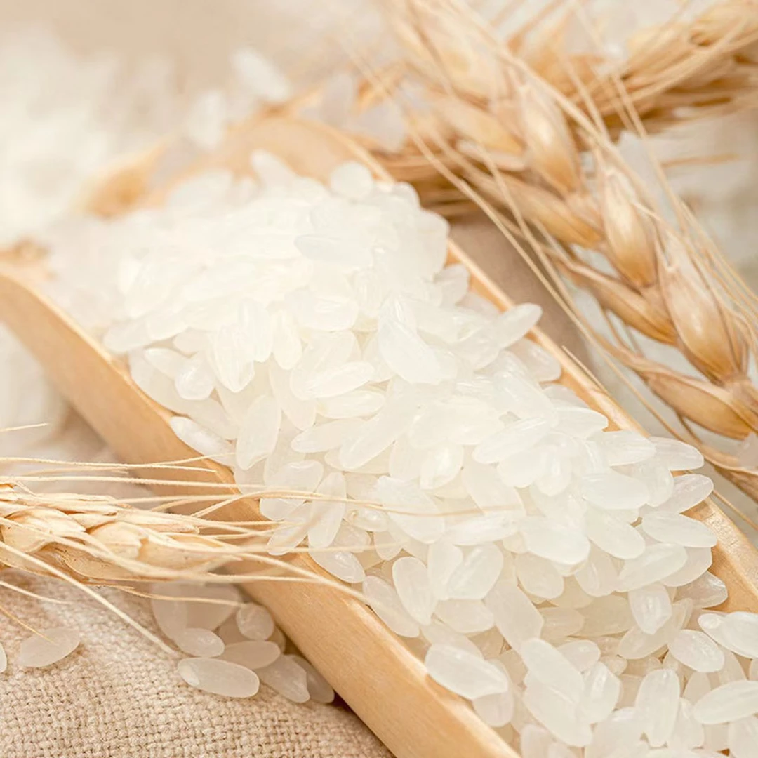 【张小洋专属】金秋新米东北稻花香2号大米5kg*1袋