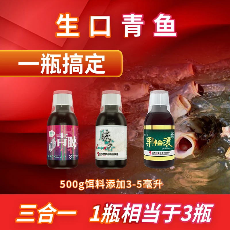 【青鱼①号】青鱼正钓生口，回锅一瓶搞定