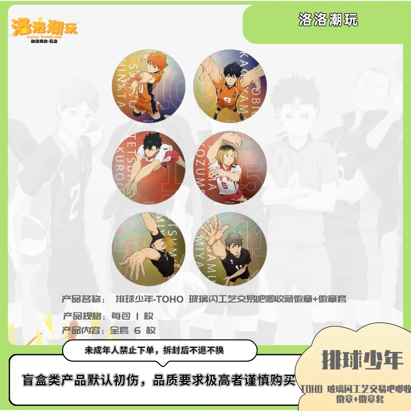 『排球-徐十九』TOHO玻璃闪工艺交易吧唧收藏徽章+徽章套『盲盒代拆』