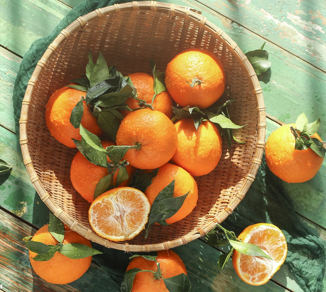 橘子橘子橘子橘子