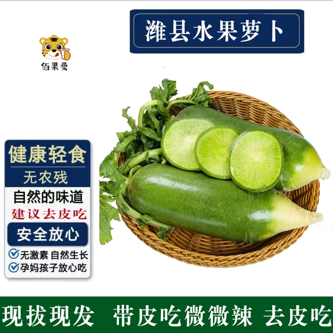 【现挖现发】正宗潍县水果萝卜山东特产青萝卜新鲜沙窝萝卜5斤