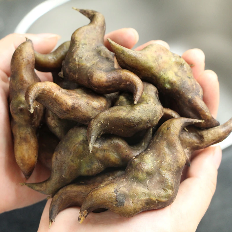 洪湖特产菱角新鲜粉糯大果老菱角黑棱角现摘现发3斤/5斤新鲜蔬菜