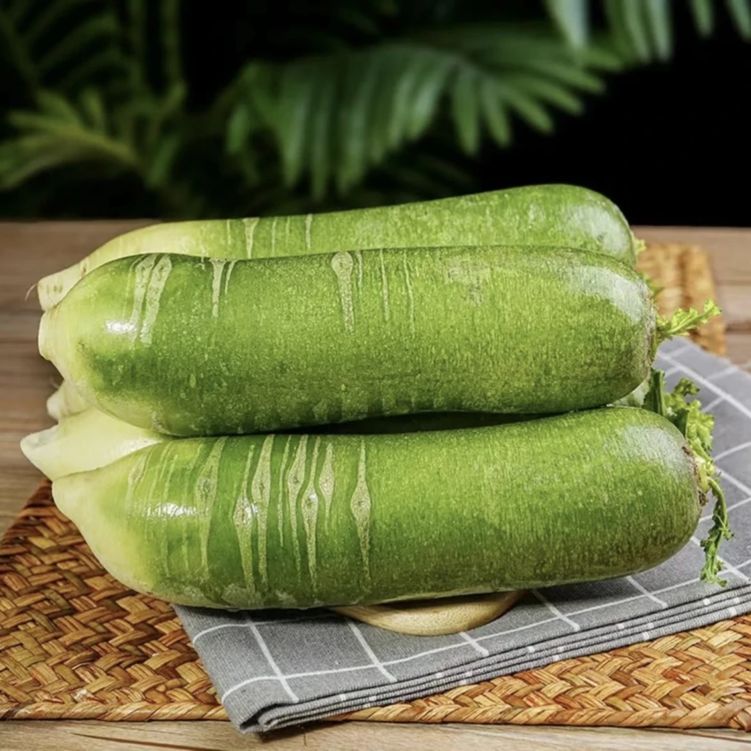 净重五斤常规装顺丰包邮天津正宗小沙窝水果萝卜脆甜多汁现拔