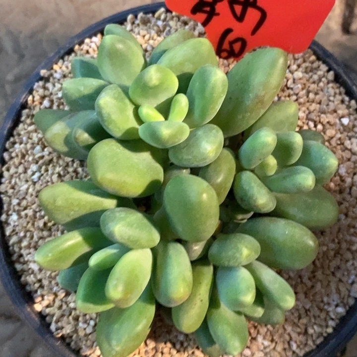 梦*我是真的很喜欢