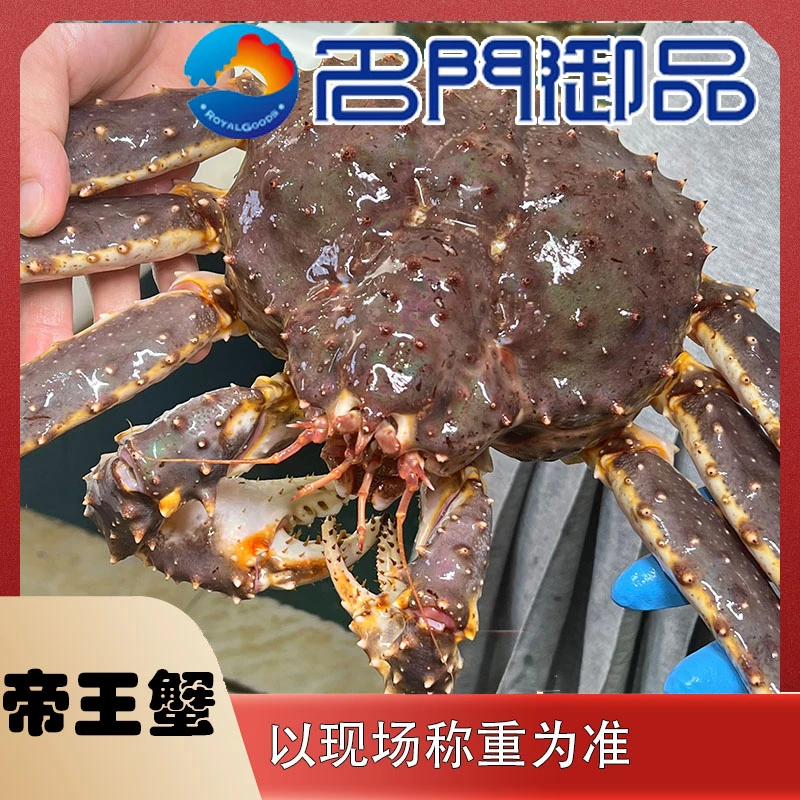 【睡着帝王蟹2号】海产品帝王蟹优选肉质新鲜海产品帝王蟹直播称重