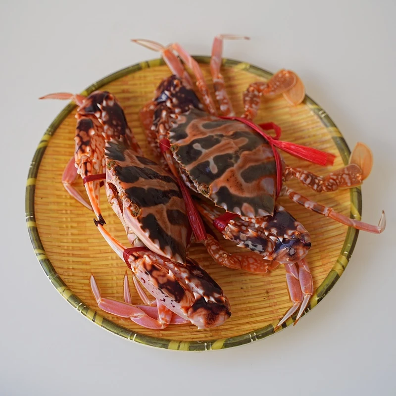 睡着花蟹2号海鲜海产品花蟹青蟹直播现称营养优选肉质