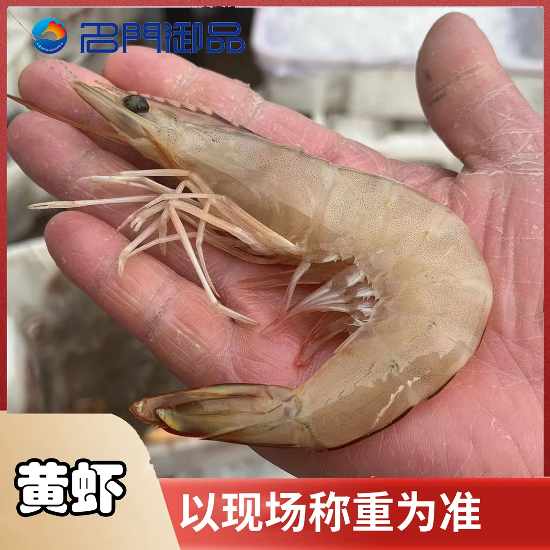 【5斤黄虾】新鲜海鲜福建省可拍保鲜不保活