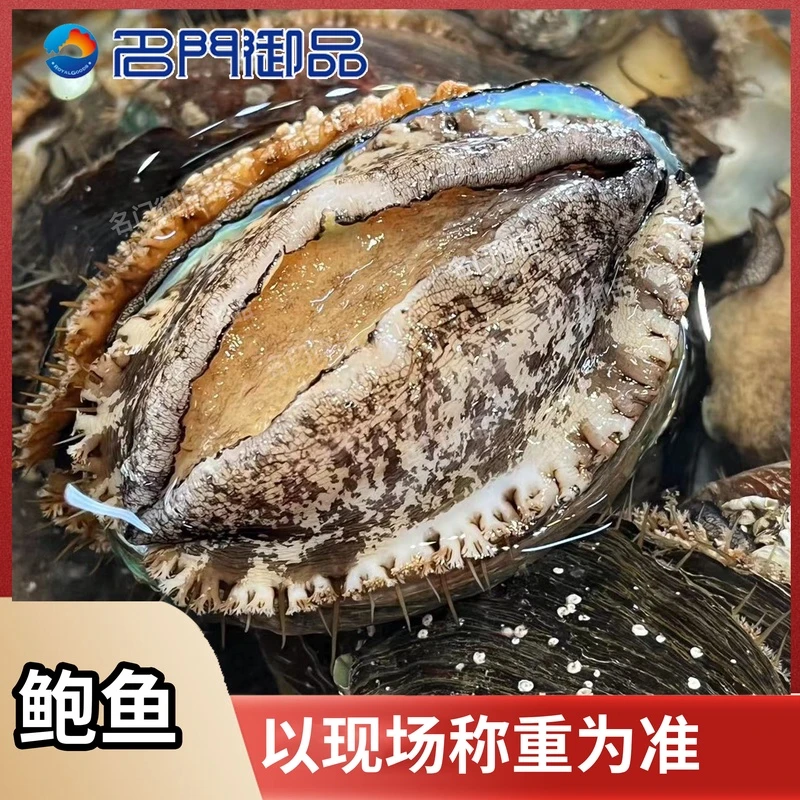 【名门御品】活鲍鱼福建省内可拍