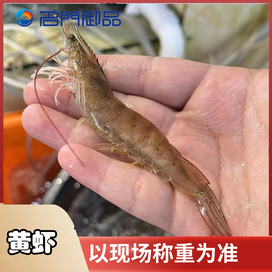 【黄虾3斤】黄虾海虾包鲜不包活福建省内可拍小只鲜嫩介意不拍