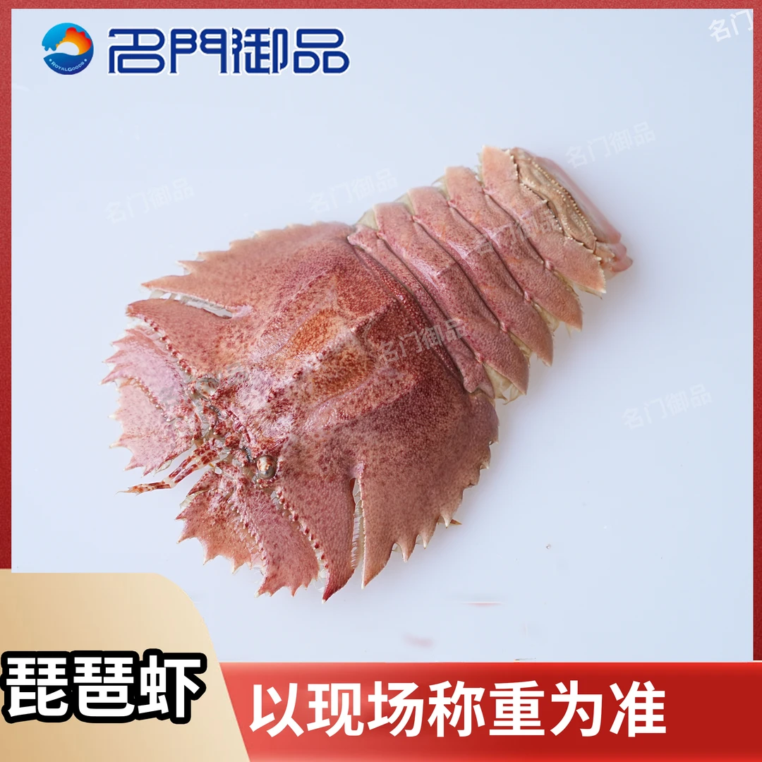 【名门御品】2斤-3斤琵琶虾（福州）发货省外可拍直播现称3斤