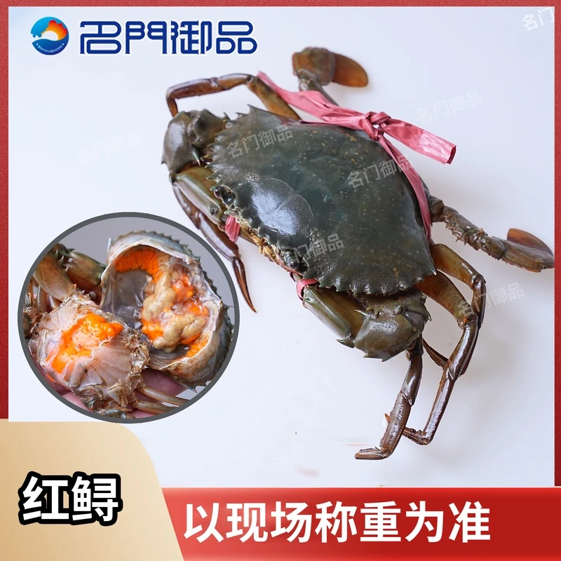 【睡着红鲟】红鲟膏有肉新鲜（处理后发货）介意不拍直播现称