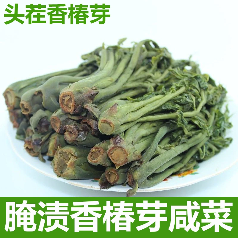 头茬香椿芽咸菜山东今年新鲜腌制香椿头下饭酱菜摊鸡蛋香椿下饭菜