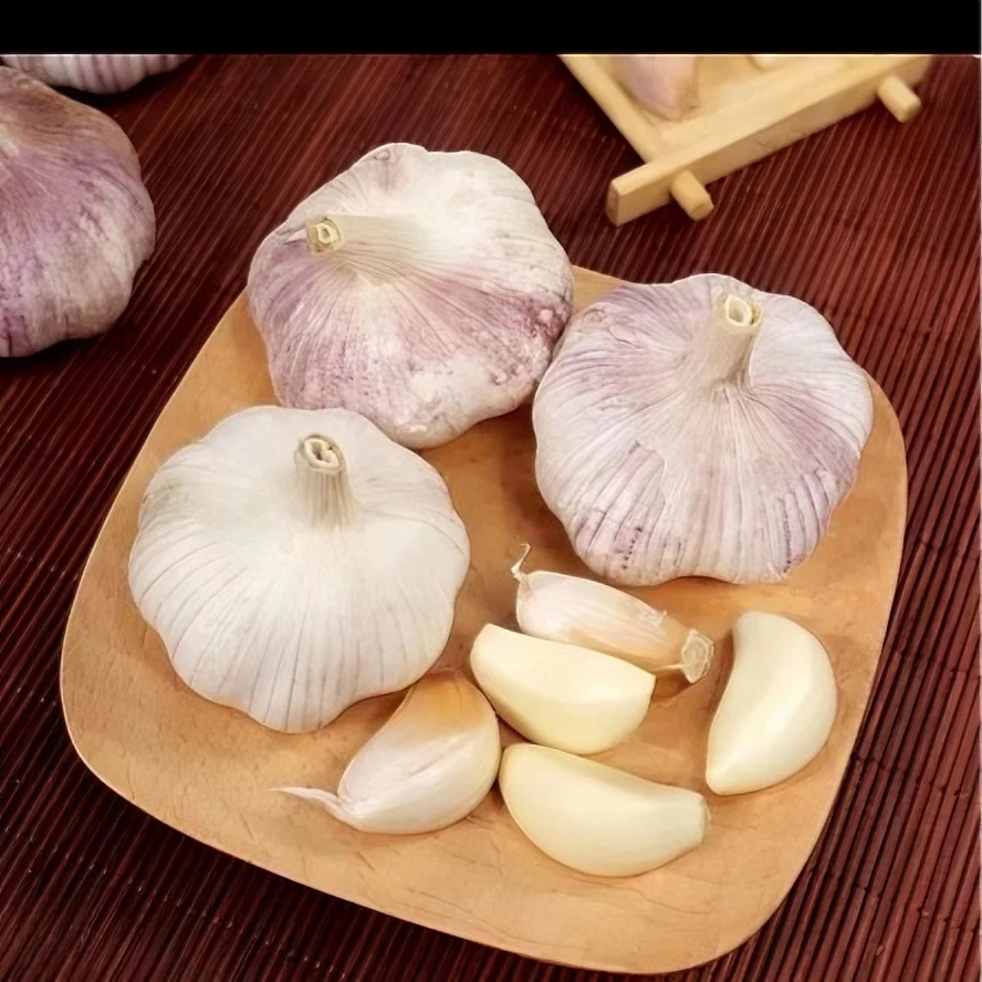河南新鲜紫皮干大蒜3斤5斤装农家自种放心食用