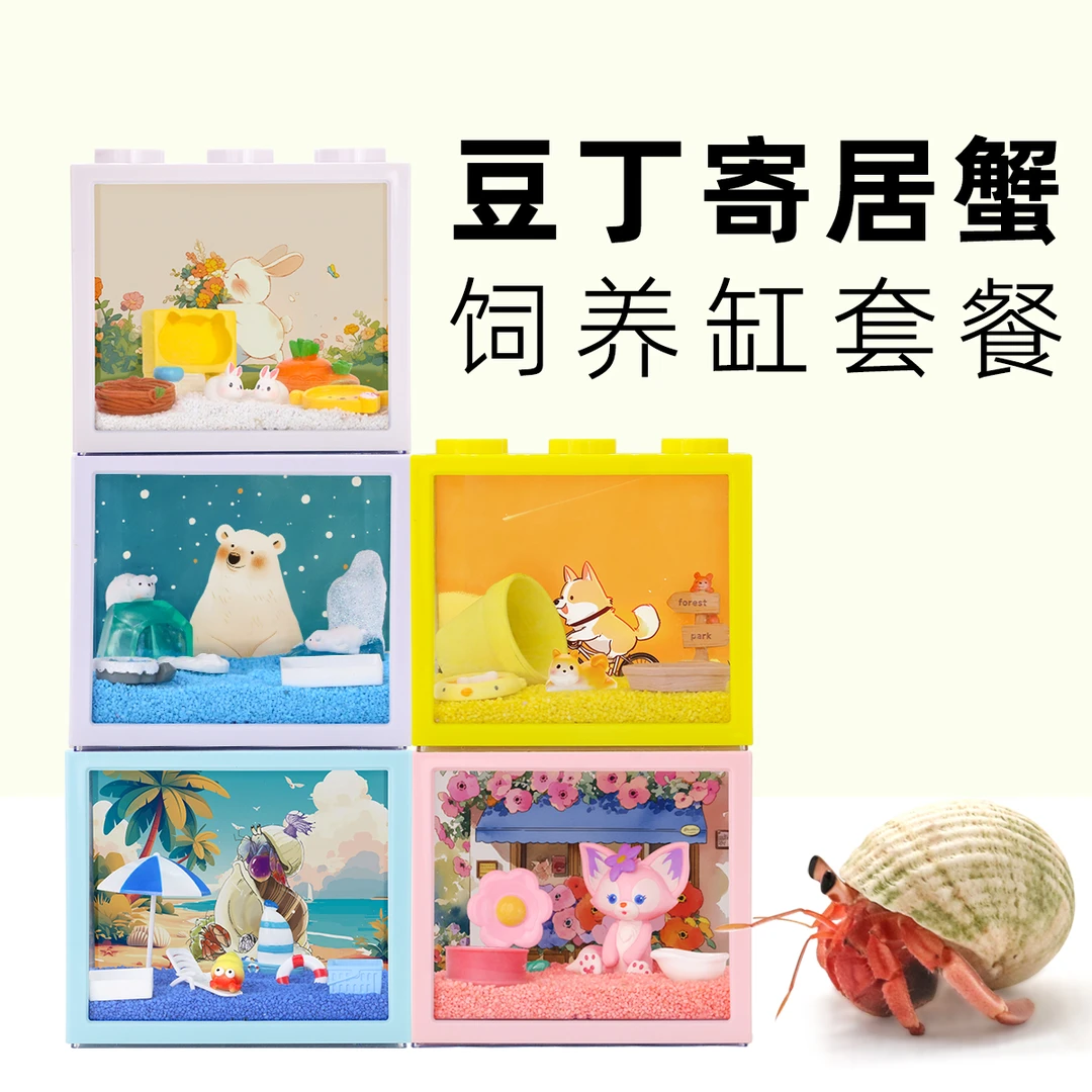 陌派小豆丁寄居蟹饲养套装套餐～寄居蟹活体饲养盒寄居蟹饲养箱