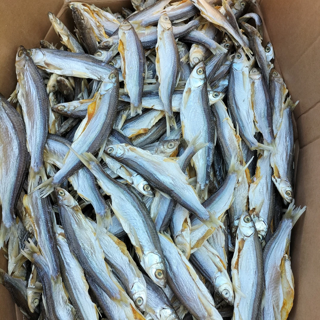 江西小鱼干餐鱼干刁子鱼蓝刀鱼干风干小鱼咸鱼500克