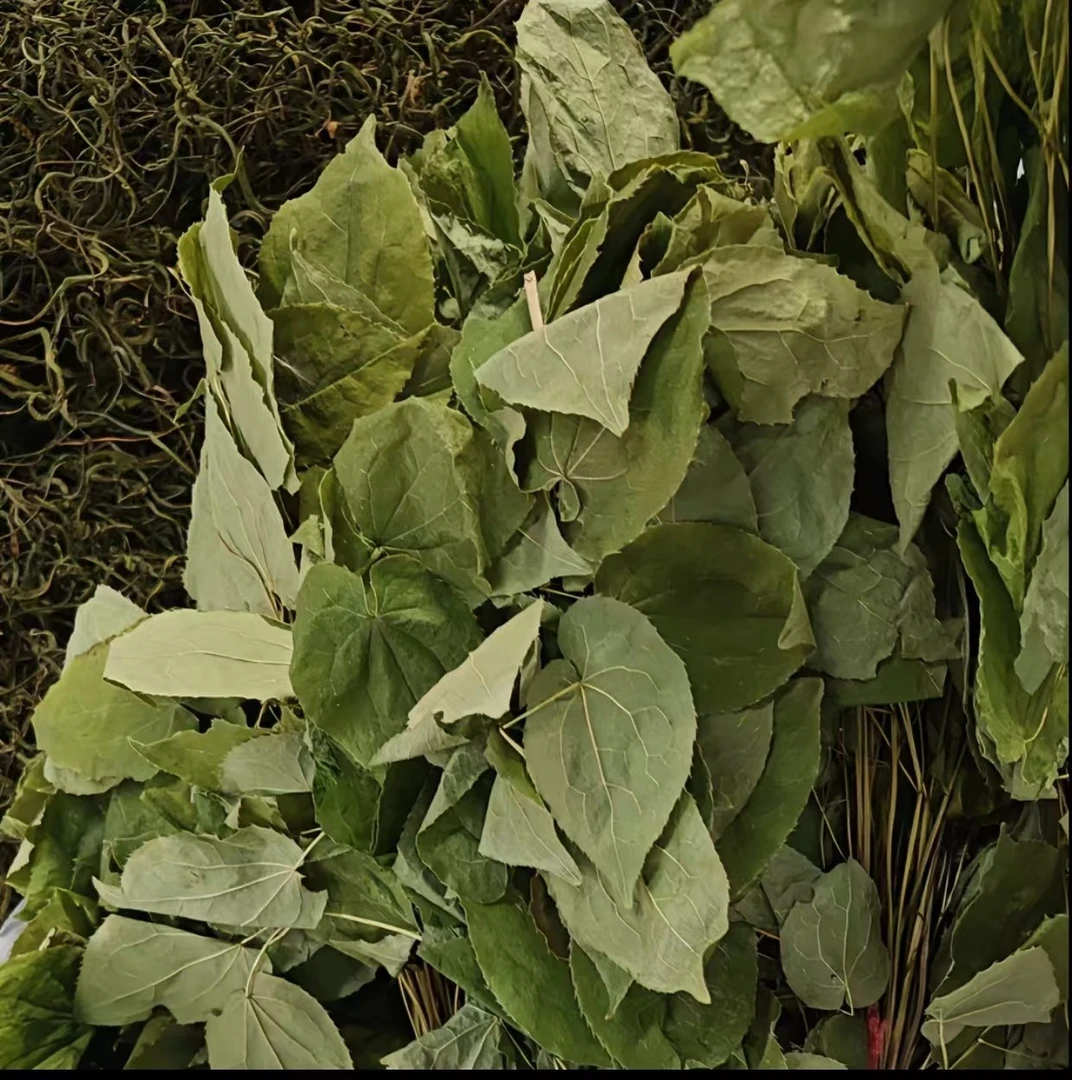 长白山深山 九叶草 泡酒 泡水