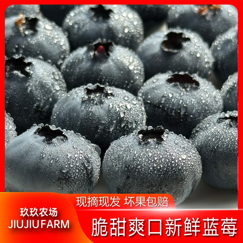 【玖玖农场】辽宁丹东蓝莓4/6盒（100g/盒）