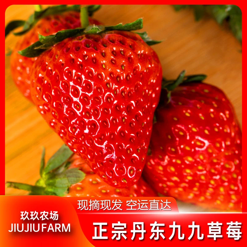 【空运包邮】正宗丹东99草莓新鲜1.5/2.5斤红颜东港九九草莓原产地