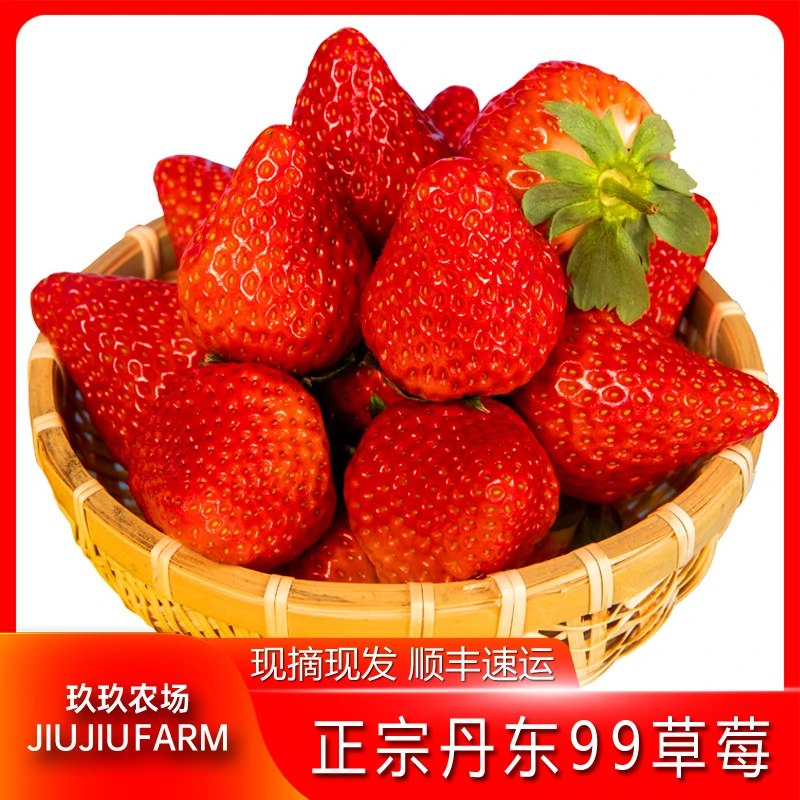 正宗丹东99草莓新鲜900g红颜东港九九草莓原产地坏果包赔饱满SSS
