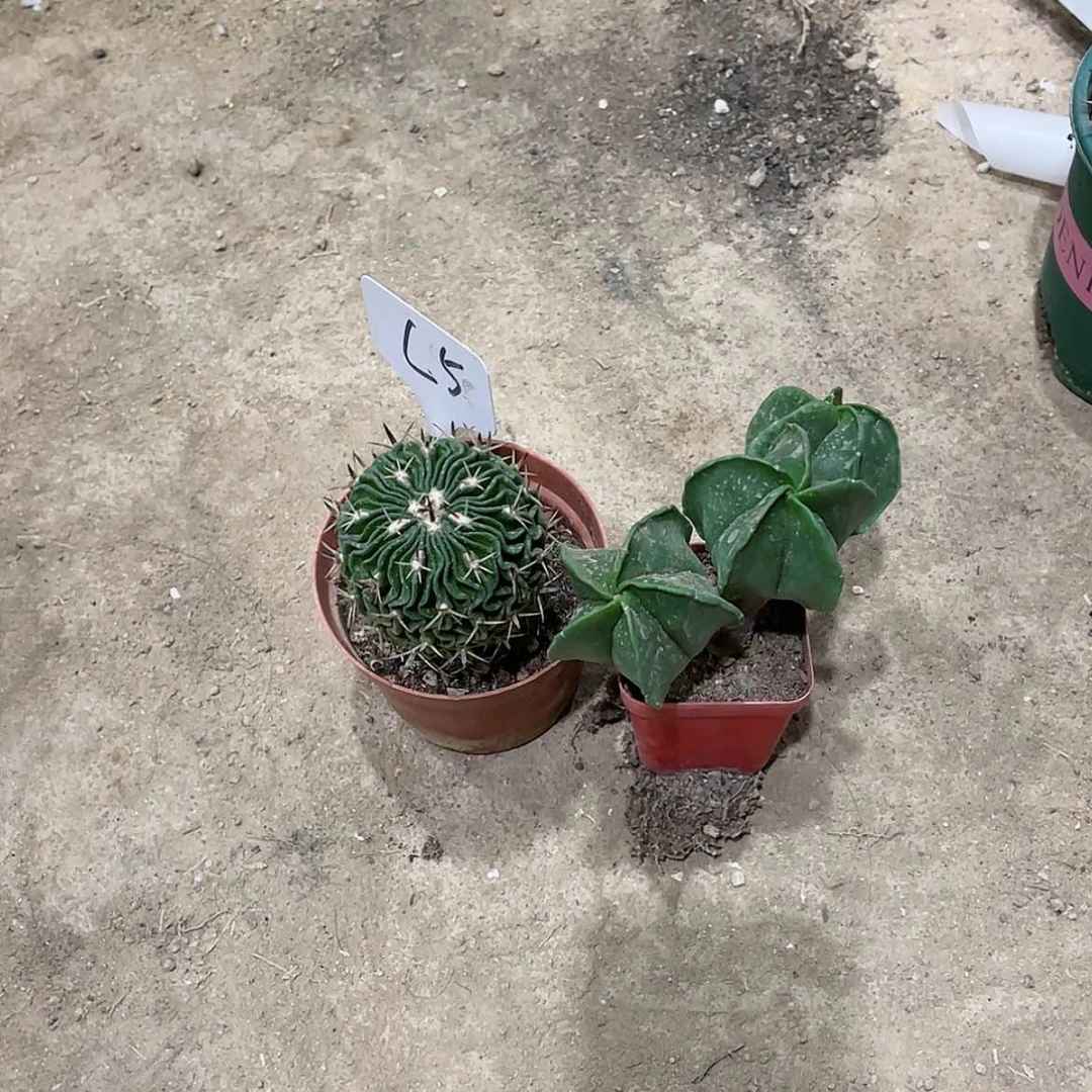 【闪购商品】感谢大家的支持鼓励大家一起