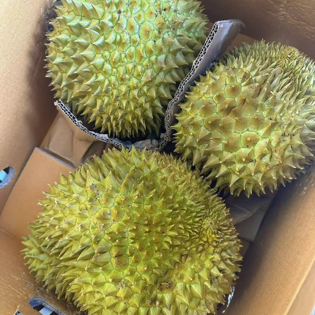 泰国金枕头榴莲 软糯香甜 【 一果一拍】