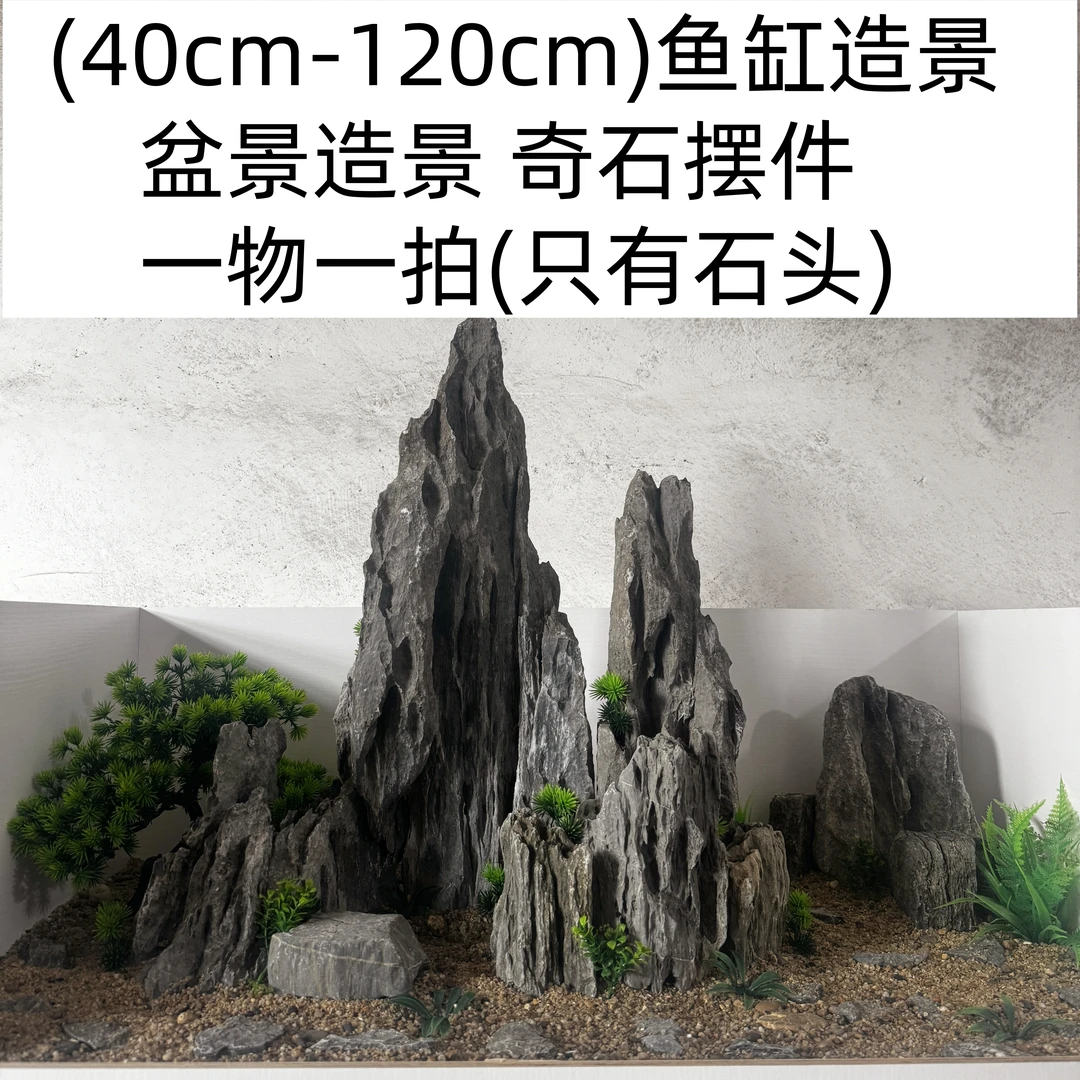 【直播间专属】英德青龙石鱼缸造景石天然石盆景造景石奇石摆件