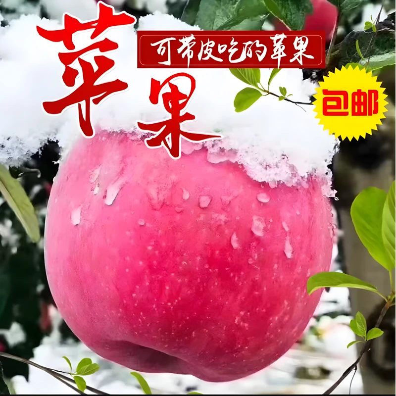 【甄-品质】山东红富士新鲜水果当季冰糖心脆甜苹果10斤红苹果包邮