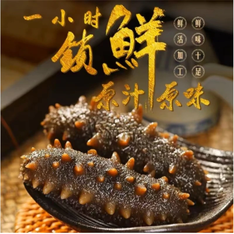 【优选自播】大连辽刺参 即食海参 每斤4-7头 到手6斤 底播养殖