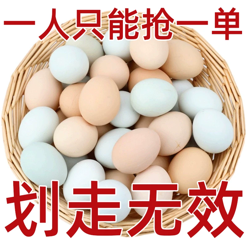 湖北特产农家散养新鲜土鸡蛋绿壳鸡蛋土特产散养土鸡蛋日常健康