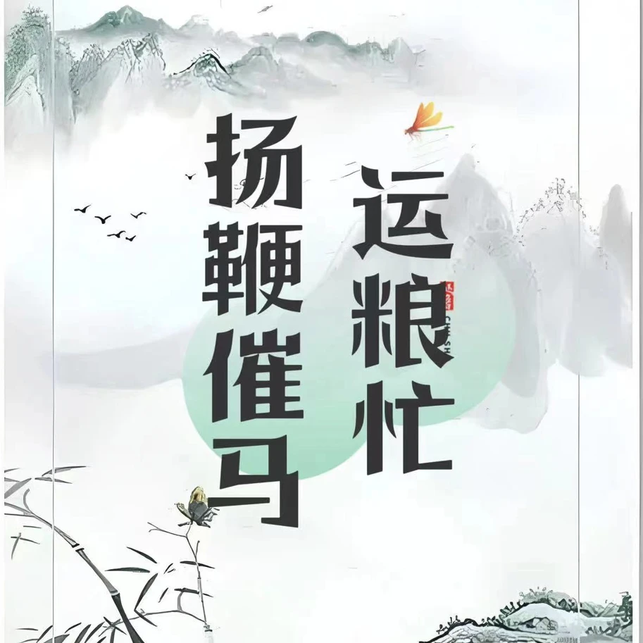 《扬鞭催马运粮忙》单曲课