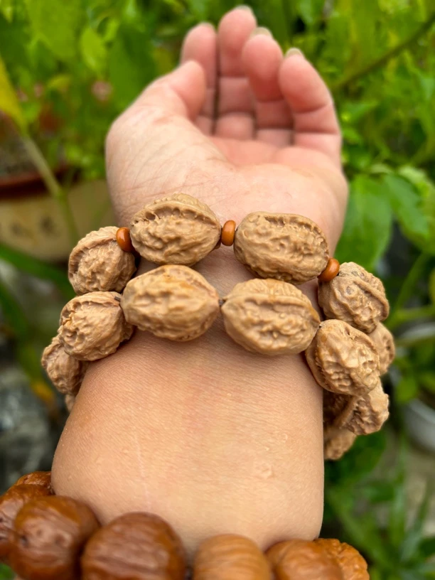 非金属木质手链 纯天然野生异形秋子手串，原皮原色没有科技与很活