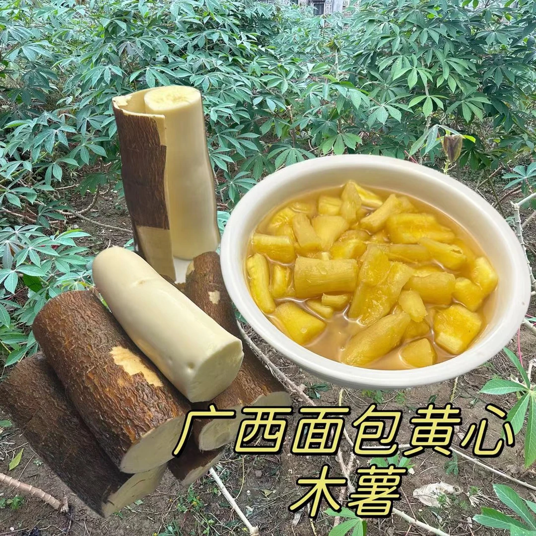 广西面包木薯新鲜现挖真空打包粉糯木薯糖水农家自种板栗黄心木薯