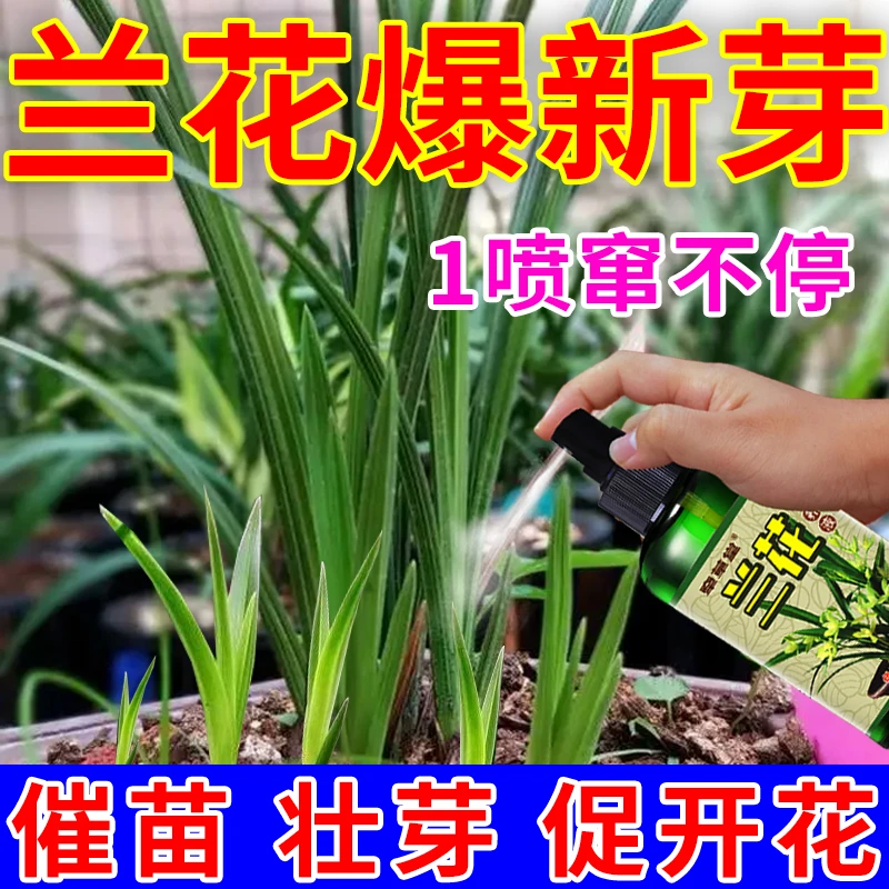 兰花专用肥料【爆芽剂】防黄叶烂根空根催芽催花兰草花家用营养液