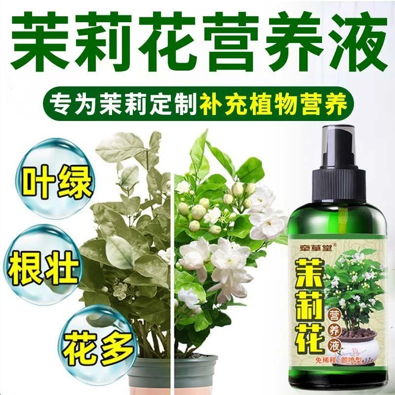 【免稀释】茉莉花肥料不开花促花生根爆芽黄叶干枯专用营养液生长