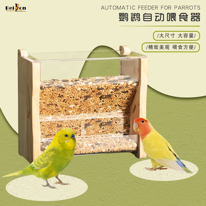 鹦鹉自动喂食器鸟食盒玄风虎皮牡丹中小型鸟吃食防撒防溅喂鸟食盆