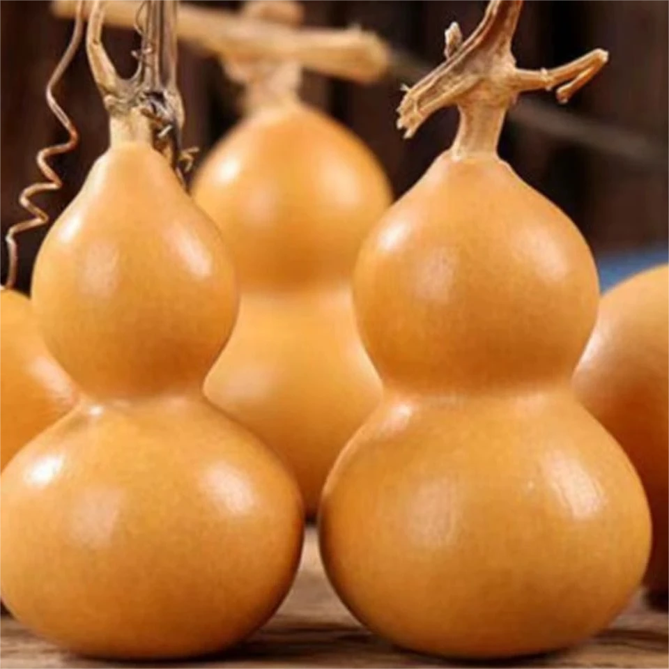 精致小葫芦一枚，直接参与福袋