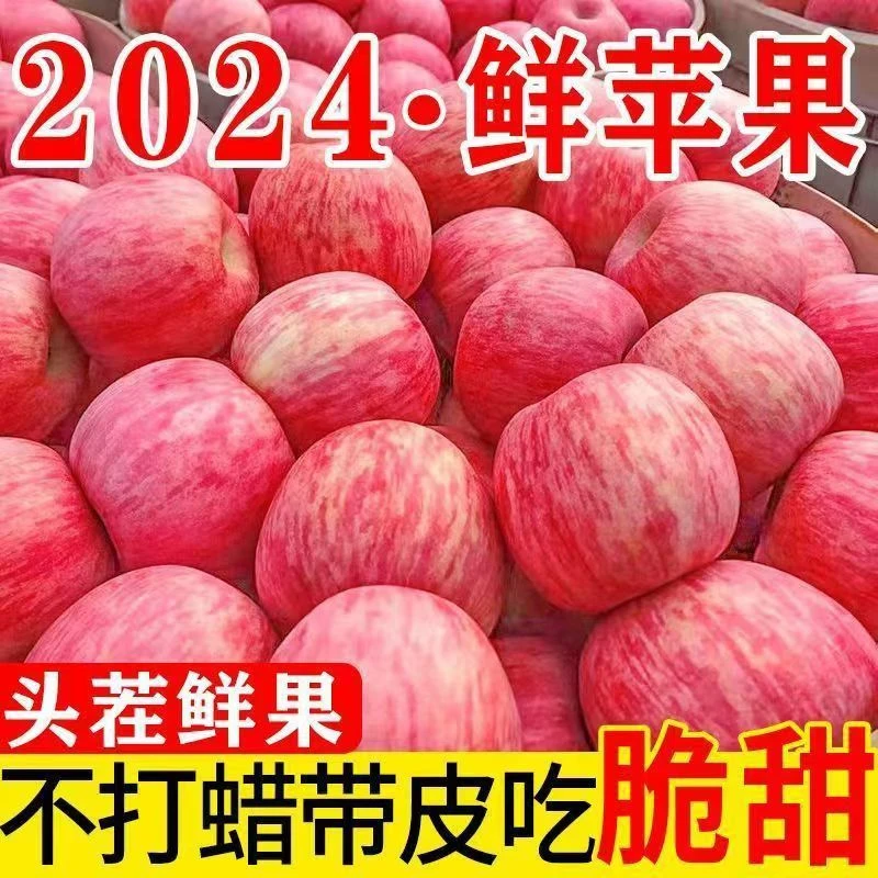 【甄选2024年新苹果】助农发货10斤