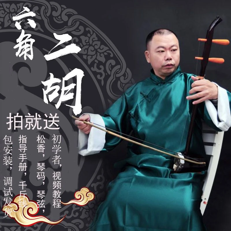 二胡乐器成人初学者入门零基础学生成人音乐色木二胡包邮