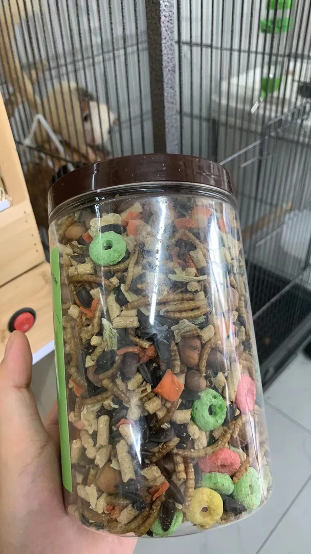 松鼠仓鼠主粮适合45天后的松鼠宝宝磨牙营养丰富真心推荐500g