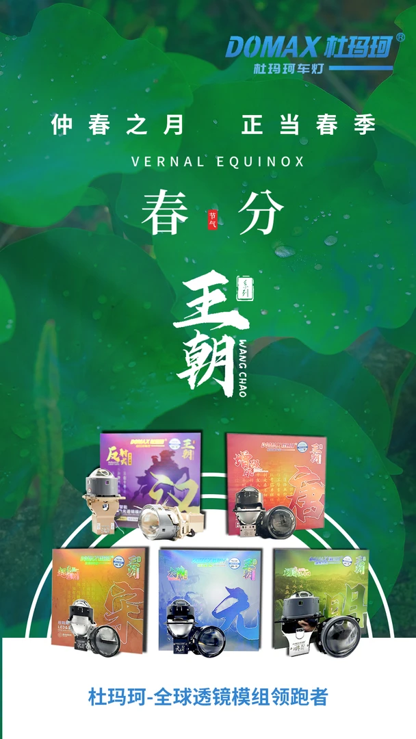 双十一    车灯活动券