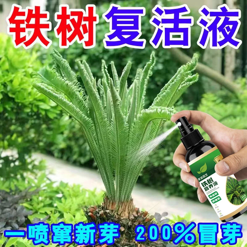 【巨好用】铁树专用营养液防黄叶烂根径杆黄促生长一喷绿叶面肥料