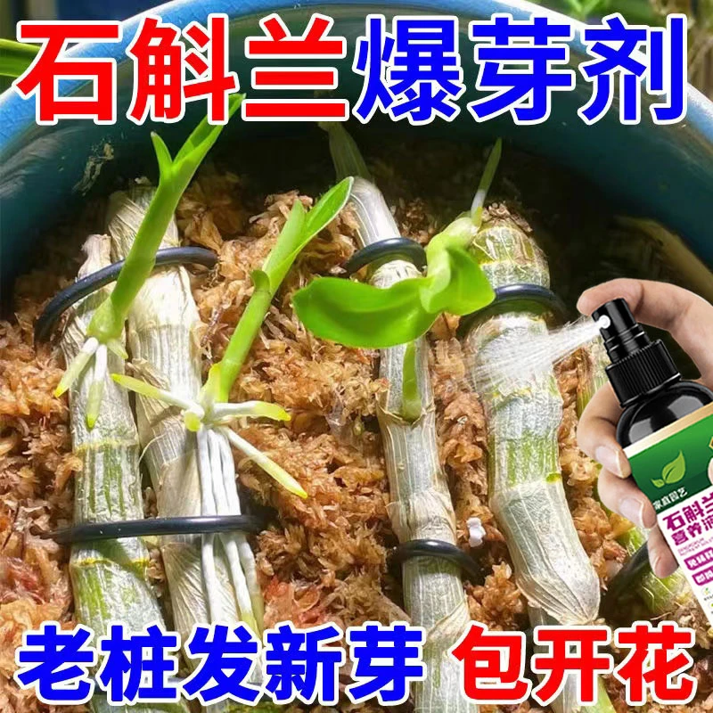 【一喷必开】石斛兰营养液铁皮石斛专用肥料生根壮苗催花盆栽花肥