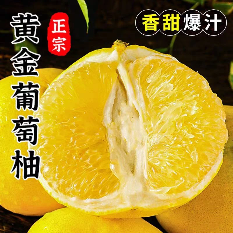 达正宗漳州平和新鲜采摘爆汁黄金葡萄柚酸甜多汁清甜浓郁大果