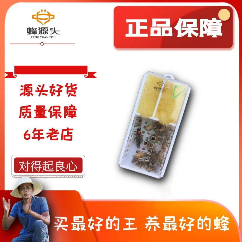 个体小练手蜂王随机3个蜂王中蜂王专属链接练手精品不包活蜂王笼