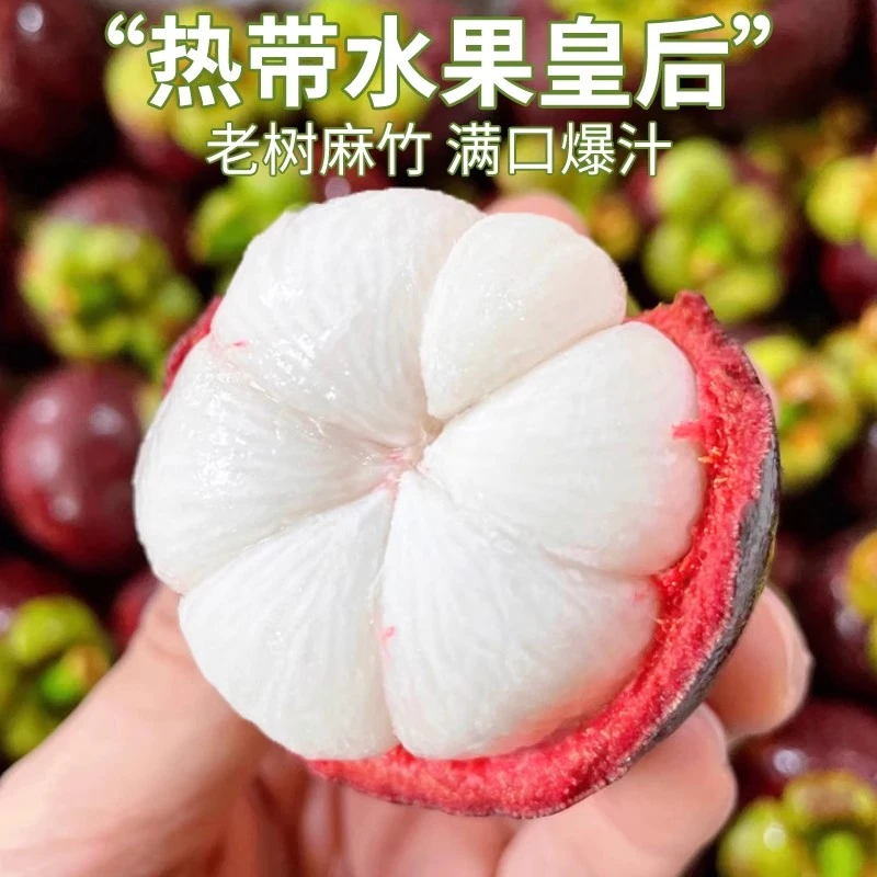 应季酸甜三竹当季新鲜顺丰包邮泰国山竹新鲜大果整箱进口孕妇水果