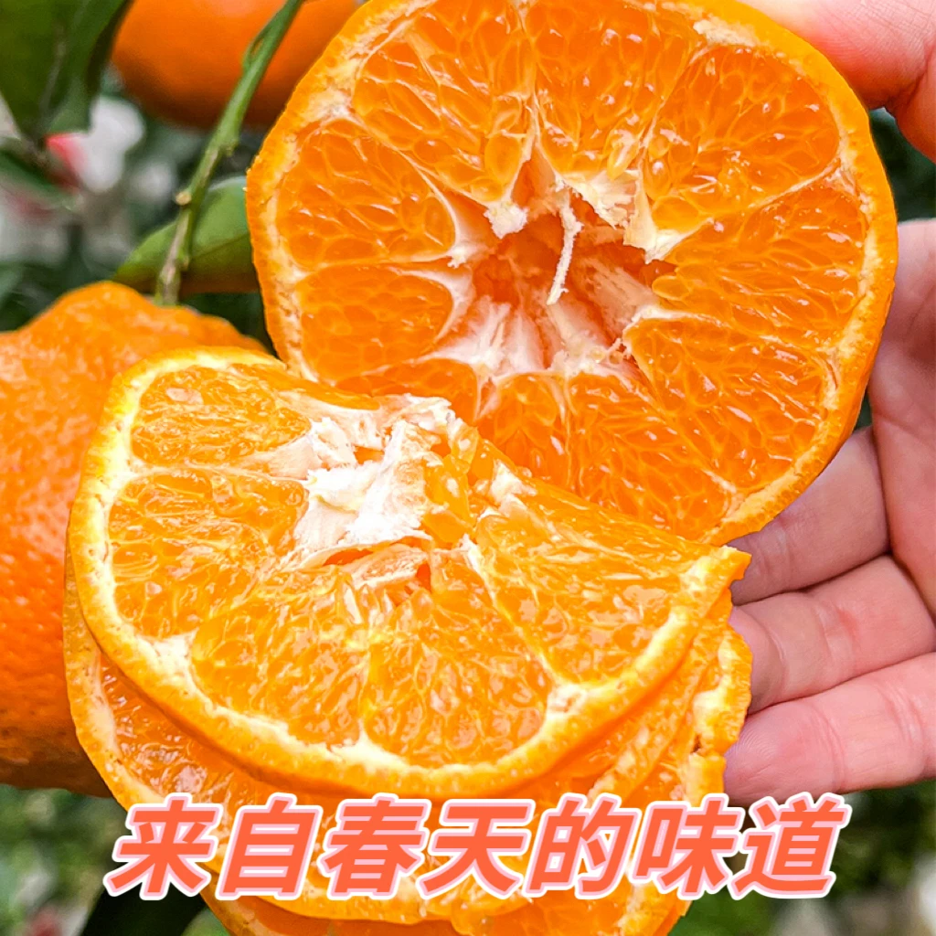 【京东快递】正宗春天耙耙柑酸甜口感 皮薄肉厚爆汁9甜1酸4.5斤