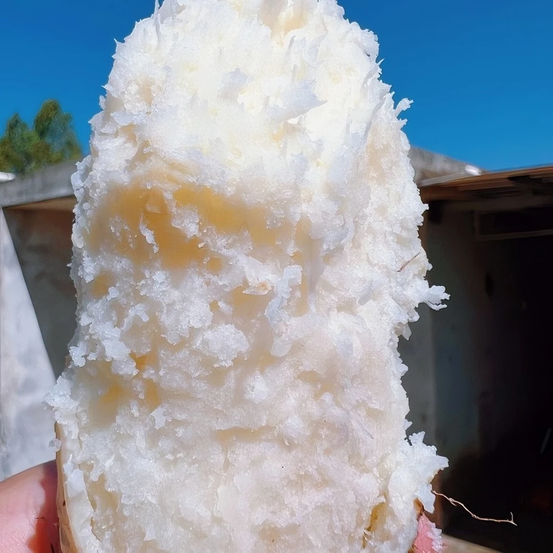 啊富特产遂溪毛薯5斤中薯粉糯香甜红土甜薯