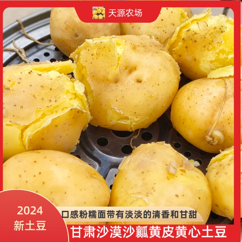 2024年新鲜优质现挖现发甘肃旱地沙漠沙瓤黄皮黄心土豆5斤包邮