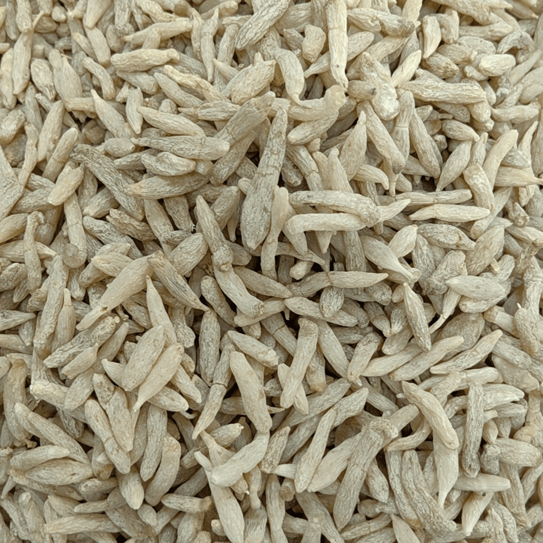 [麦冬]四川麦冬特产干货