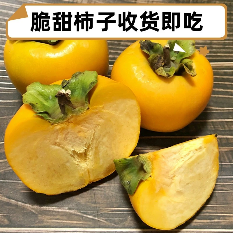 现货速发脆甜柿子狼牙山脆柿子懒柿子硬柿子脆甜可口易县特产